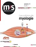 Cibler les macrophages dans les dystrophies musculaires ?